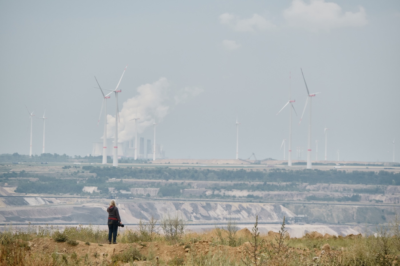 Barbara Schnell background image